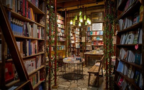 Six of the world’s best bookshops – and where to sit and read nearby — The Telegraph Interior Delights, Transitional Living Room Design, Shakespeare And Company, Creative Spaces, Transitional Living Rooms, Beaches In The World, Through The Window, Destin Beach, Glass House