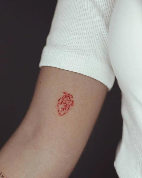 Small Anatomical Heart Tattoo, Anatomically Correct Heart Tattoo, Heart Tattoo Red, Real Heart Tattoos, Tattoo Red Ink, Human Heart Tattoo, Realistic Heart Tattoo, Anatomical Tattoos, Anatomically Correct Heart