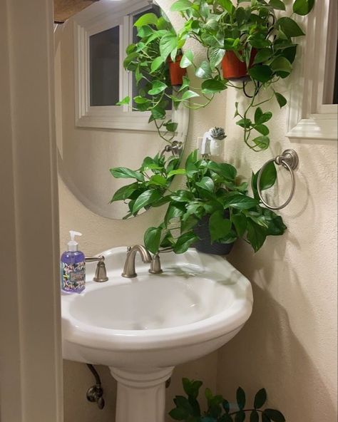 😍 No Sunlight Room Ideas, Bathroom Decor Plants Small Spaces, Plant Theme Bathroom, Restroom Plants, Bathroom Ideas Plants, Plant Bathroom Aesthetic, Bathroom Plants No Sunlight, Plants In The Bathroom, Bathroom With Plants