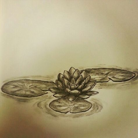 Lilly pad / water Lilly /lotus flower tattoo sketch by - Ranz Lotus Flower Lilly Pad Tattoo, Lotus Water Tattoo, Lotus And Lily Pad Tattoo, Lotus In Water Tattoo, Water Lily Pad Tattoo, Lotus Lily Pad Tattoo, Frog Lily Pad Tattoo, Lily Pad Flower Tattoo, Lilly Pad Tattoo Ideas