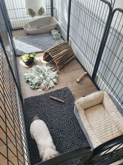 Bunny Cage Accessories, Bunny Playpen Ideas, Cheap Rabbit Cage Ideas, Aesthetic Bunny Setup, Rabbit Cage Setup Indoor, Rabbit X Pen Setup, Rabbit Set Up Indoor Aesthetic, Rabbit Corner Ideas, Bunny Cage Setup Ideas