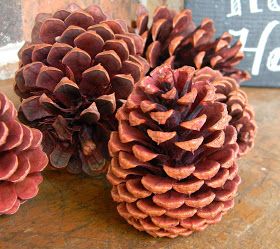 Artistic Endeavors 101: Dyeing Pine Cones with RIT Dye Cinnamon Pinecones, Red Food Dye, Wine Cork Christmas Tree, Cork Christmas Trees, Centerpiece Craft, Christmas Pine Cones, Winter Holiday Decorations, Rit Dye, Pine Cone Decorations