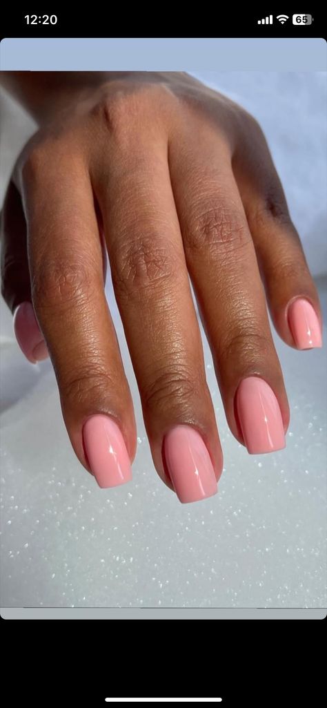 Plain Nail Inspo Summer, Nails Acrylic Plain Colors, Nail Colors For Summer 2024, Elegant Nails Classy Simple, Nails Classy Simple, Elegant Nails Classy, Nail Colors For Summer, Vsco Nails, Short Pink Nails