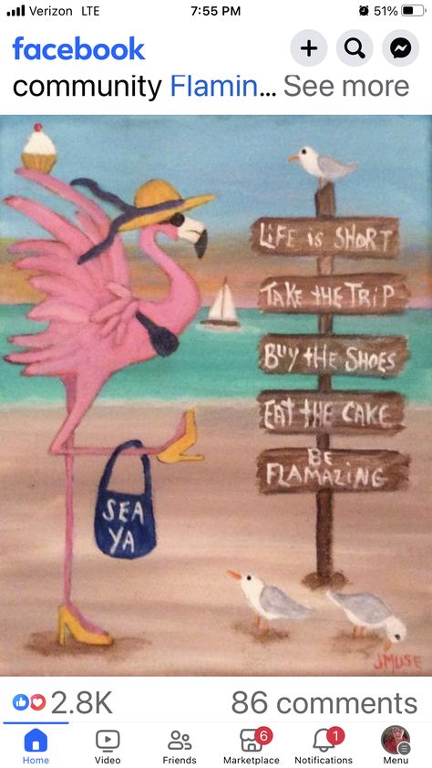 Flamingo Quotes Funny, Flamingo Quotes, Flamingos Quote, Flamingo Stuff, Flamingo Pictures, Flamingo Craft, Fancy Flamingo, Flamingo Painting, Funny Flamingo