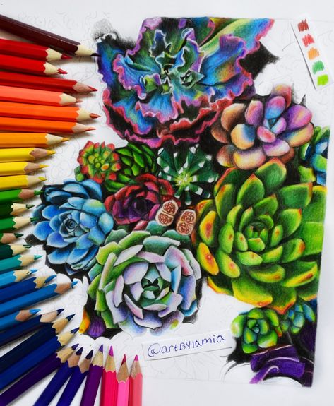 Colored Pencil Succulent Drawing, Succulent Sketches, Succulent Drawing, Pencil Colour Painting, Colored Drawings, Succulents Drawing, Coloring Therapy, Pastel Pen, Crayon Art