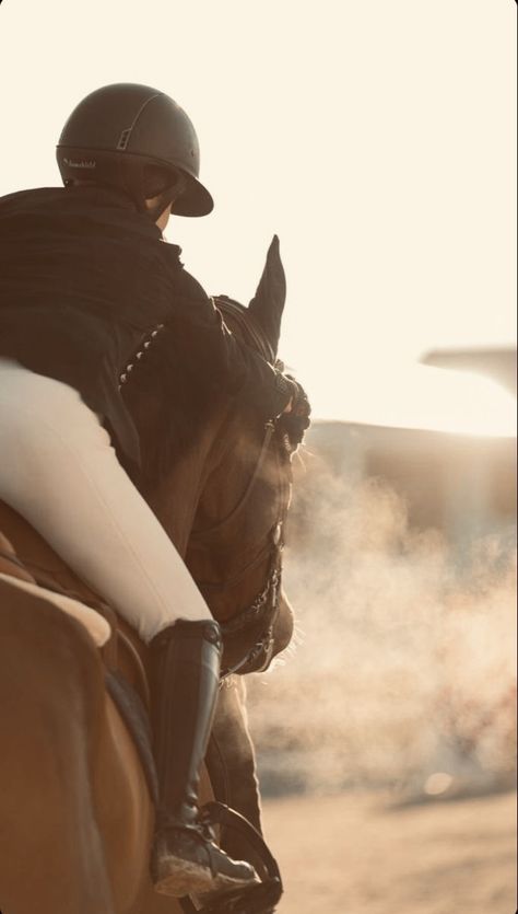 Horse Riding Photography, Showjumping Aesthetic, Equitation Aesthetic, Horseback Riding Outfit, Aesthetic Equestrian, Riding Outfit Equestrian, Horse Photography Poses, Horse Riding Aesthetic, Equestrian Outfit