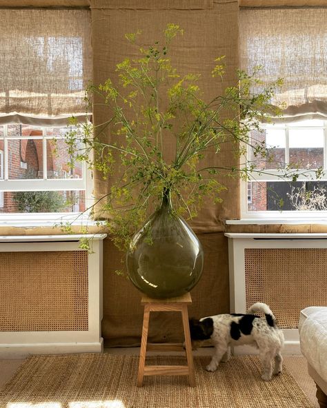 MARIA LE MESURIER | Sunday✨ 📸 of our WoodEdit Graceful Stool in Ash & WoodEdit Cane Radiator Covers. | Instagram Radiator Covers, Radiator Cover, Ash, Instagram