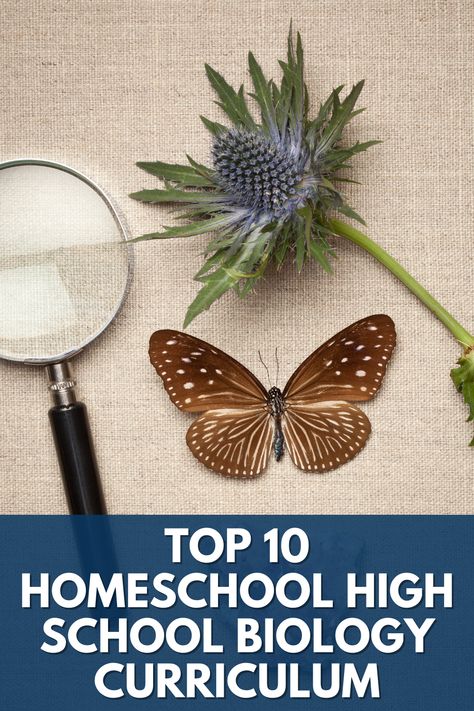 Finding the curriculum you are comfortable with teaching and one your teen will engage with is important. The Top 10 Homeschooling High School Biology curriculum choices give you a wide variety of options so you can find the one that fits your family. Check it out here! https://teachthemdiligently.net/top-10-homeschooling-high-school-biology-curriculum-choices-for-2021/ High School In Usa, Homeschooling High School, General Biology, Insomnia Help, School Biology, Homeschool Family, High School Curriculum, High School Biology, Human Anatomy And Physiology