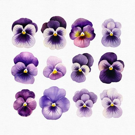 Purple Flower Drawing, Pansy Drawing, Gardeners Journal, Violet Flower Tattoo, Pansy Watercolor, Violet Painting, Pansy Tattoo, Boarders Designs For Projects, Viola Flower