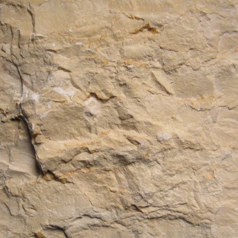 Aurum Limestone - Splitface Finish Limestone Texture, Fossils Activities, Natural Stone Texture, Limestone Rock, Limestone Wall, Rock Textures, Beige Stone, Material Textures, Stone Texture