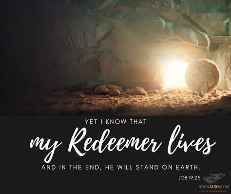 my Redeemer Lives Job I Know My Redeemer Lives, Kinsman Redeemer, Passover Meal, Poor You, My Redeemer Lives, The Lost Sheep, Passover Seder, Womens Bible Study, The Resurrection