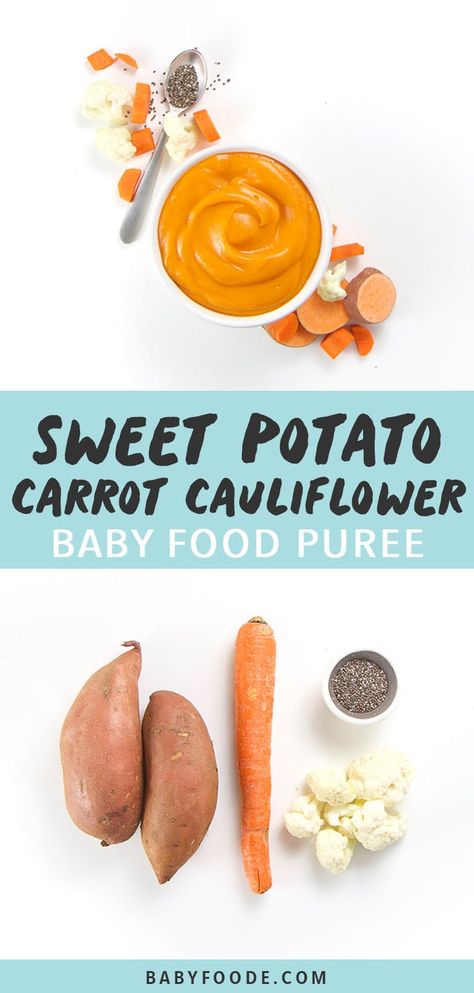 Homemade Baby Food Storage, Sweet Potato Carrot, Baby Food Puree, Baby Carrot Recipes, Making Baby Food, Diy Baby Food, Easy Baby Food Recipes, Vegan Baby, Healthy Baby Food