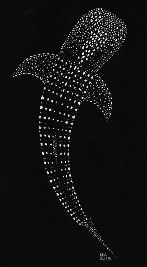 Rhincodon typus (whale shark) Pastel white gel ink ballpoint pen (Pilot G2 07) on Strathmore 400 series Artagain coal black paper. Pilot G2 07, Whale Shark Tattoo, Pastel White, Black Paper Drawing, Shark Art, Shark Tattoos, Beautiful Sea Creatures, Scientific Illustration, Whale Shark