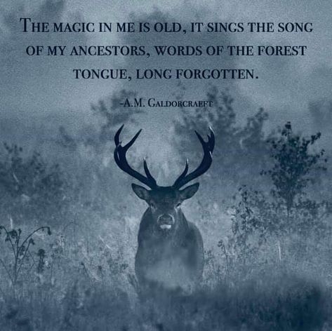 THE MAGIC IN ME IS OLD, IT SINGS THE SONG OF MY ANCESTORS, WORDS OF THE FOREST TONGUE, LONG FORGOTTEN. Viking Quotes, Don Jose, Animal Spirit Guides, Norse Pagan, Witch Magic, My Ancestors, Badass Quotes, Spell Book, Book Of Shadows