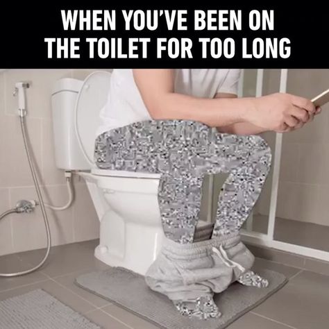 9GAG: Go Fun The World on Instagram: “90% using the phone, 10% actually using the toilet. - #bathroom #toilet #9gag” Toilet Memes, Funny Fails, Too Long, Instagram Foto, Best Memes, Dankest Memes, Picture Perfect, Really Funny, How To Use