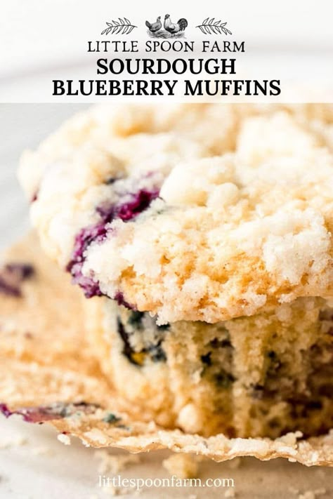 Blueberry Muffins With Crumb Topping, Sourdough Blueberry Muffins, Sourdough Blueberry, Crumb Topping Recipe, Sourdough Starter Discard, Bakery Style Blueberry Muffins, Sourdough Muffins, Recipe Using Sourdough Starter, Muffins Healthy