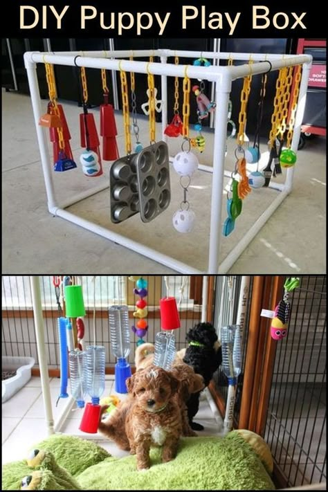 Puppy Enrichment, Puppy Playground, Whelping Puppies, Breeding Business, Puppy Pens, Dog Kennel Designs, Chat Diy, Puppy Diy, Puppy Playpen