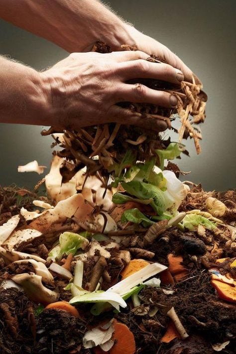 Composting is not merely a smart way to reduce household waste. It's an eco-friendly practice that transforms organic matter into a treasure trove of nutrients for your garden. One of the most abundant and readily available sources of organic material is right in your backyard: yard waste. From grass clippings and leaves to branches and spent flowers, your garden is an endless source of raw material for composting. The Gold in Yard Waste Yard waste might seem insignificant or even a nuisa... Green Campaign, Apartment Composting, Composting Ideas, Eggplant Varieties, Biodegradable Waste, Notebook Labels, Organic Waste, Landfill Waste, Vision Book