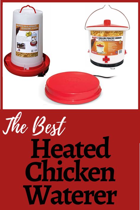 Best Heated Chicken Waterer - Rough and Tumble Farmhouse Heated Water For Chickens, Chicken Water From Freezing, Chicken Water Heater, Heated Chicken Waterer, Homesteading Tips, Chicken Waterer, Keeping Chickens, Chicken Feed, Pet Chickens