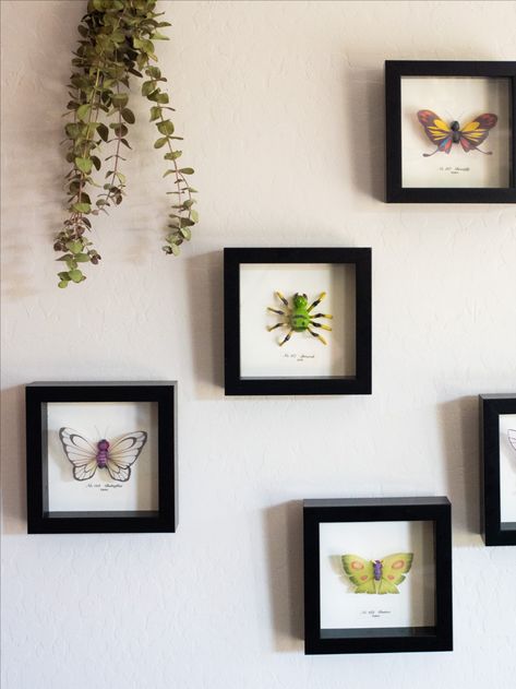 Pokemon Taxidermy, Butterfree Pokemon, Butterfly Taxidermy, Faux Taxidermy, Gilbert Az, Show Ideas, Butterfly Frame, Frame Wall Decor, Cute Crafts