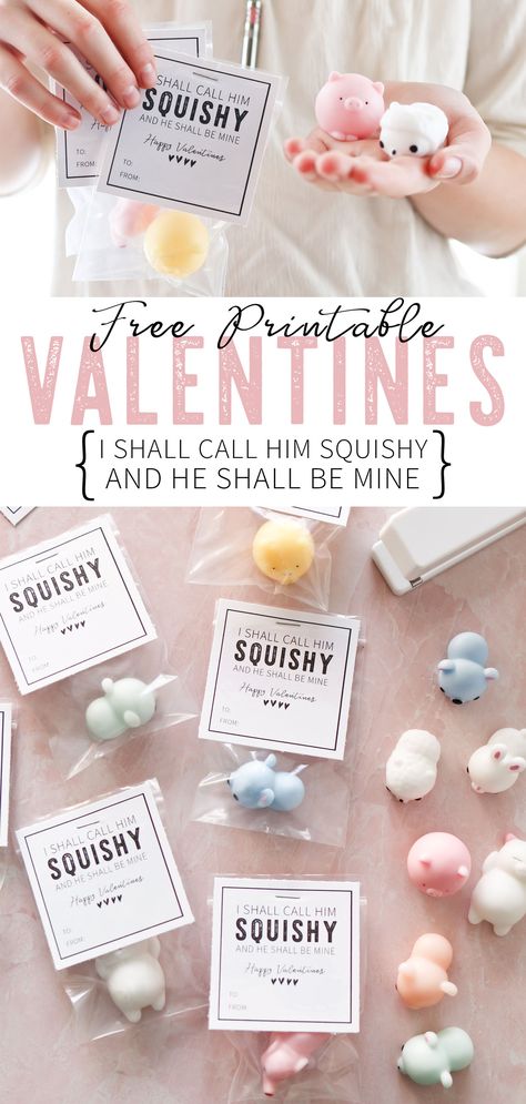 Non-candy class Valentines idea with free printable. Cutest idea ever! "I shall call him squishy, and he shall be mine. Happy Valentines!" #valentines #valentine #classvalentine #noncandyvalentines #valentinesday #valentinesgift #camitidbits Class Valentine Ideas No Candy, Valentine Gift For Preschoolers, Diy Valentines Envelope, Squishy Valentine Printable Free, Squishy Valentine Printable, Squishy Valentine, Valentine Ideas For Kids, Non Candy Valentines, Personalized Valentines Gifts