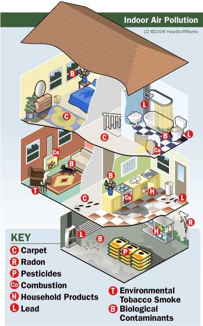 "Causes of Indoor Air Pollution" - HowStuffWorks. Keep your indoor air clean with AirRestore. Learn more at www.airrestoreusa.com. Air Pollution Facts, Causes Of Air Pollution, Ap Environmental Science, Indoor Air Pollution, Healthy Environment, Air Pollution, Environmental Science, Alternative Energy, Save Earth