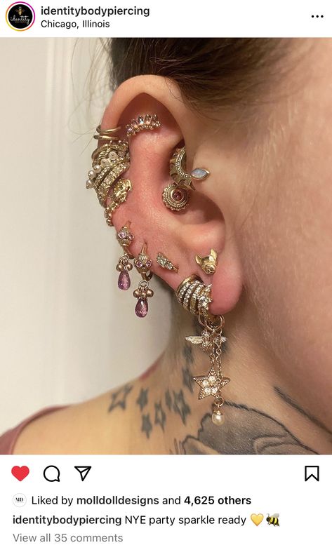 Coin Slot Ear Piercing, Small Stretched Ears Aesthetic, Maximalist Ear Piercings, A Lot Of Ear Piercings, Small Gauged Ears Women, 0g Stretched Ears, Piercings 2023, Coin Slot Piercing, Cute Gauges