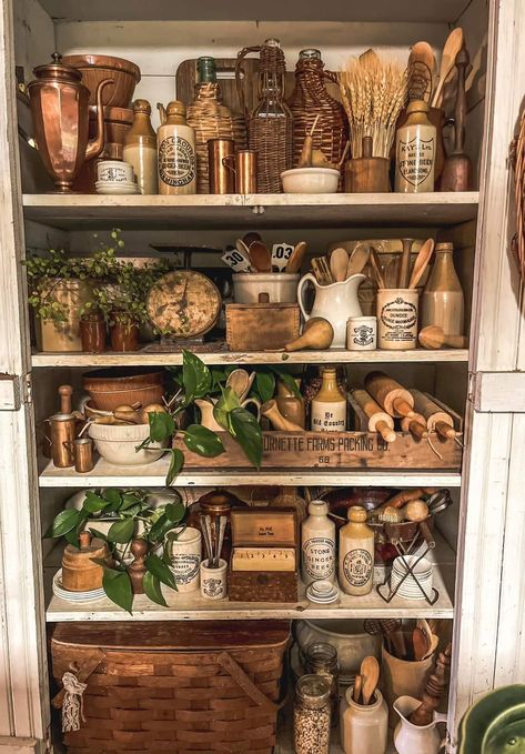 Bayou Aesthetic Decor, Apothecary Kitchen Decor Ideas, Beer Stein Display, Hobbit Pantry, Hobbit Decor, Apothecary Shelf, Moody Maximalism, Kitchen Hearth Room, Gothic Victorian House