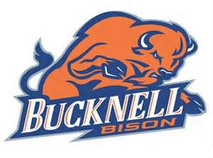 Hometown College! Bucknell University, Bison Logo, Sports Team Logos, University Logo, College Logo, Football Logo, Sports Svg, College Sports, College Basketball