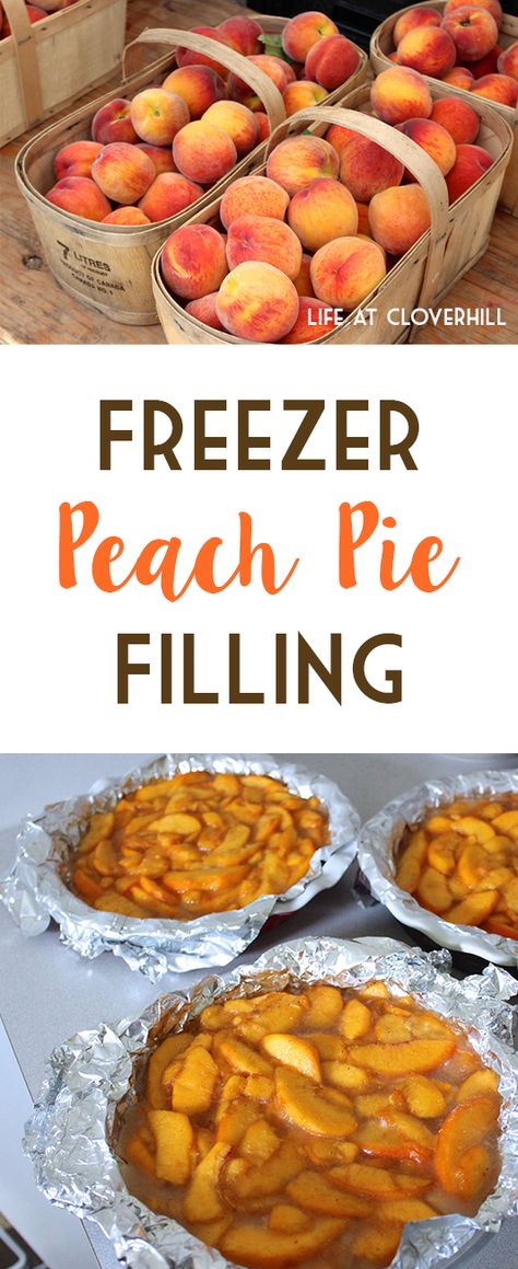 Peach Pie Filling Recipes, Freezing Peaches, Peach Filling, Fresh Peach Recipes, Fresh Peach Pie, Pie Fillings, Peach Pie Filling, Peach Dessert Recipes, Pie Filling Recipes