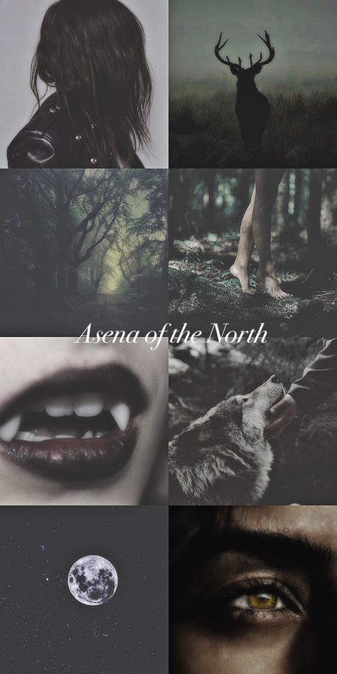 Werewolf Oc Female, Wolf Aesthetic Dark, She Wolf Art, She Wolf Aesthetic, Wolf Moodboard, Werewolf Wallpaper, Werewolf Eyes, True Alpha, Wolf Aesthetic