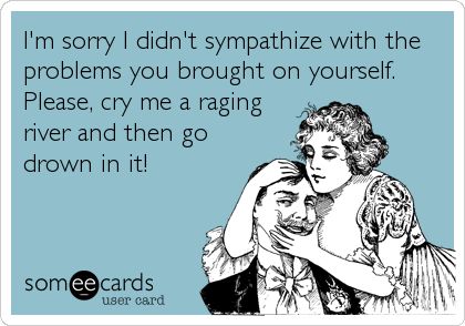 I'm sorry I didn't sympathize with the problems you brought on yourself. Please, cry me a raging river and then go drown in it! Behind Blue Eyes, Under Your Spell, Funny Ecards, Life Quotes Love, Clipuri Video, Quotes Humor, Funny Relationship, E Card, Ecards Funny