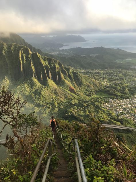 Stairway To Heaven Hawaii, Hawaii Hiking, Oahu Hikes, Hawaii Hikes, Hawaii Life, Camping Outdoors, Stairway To Heaven, Us National Parks, Get Outdoors