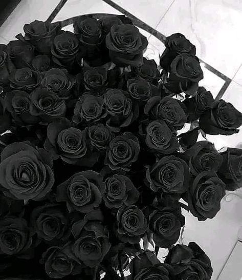 Black Rose Bouquet, Black Bouquet, Black Rose Flower, Luxury Flower Bouquets, Prettiest Bouquet, Rosé Aesthetic, Black Roses, Flowers Bouquet Gift, Nothing But Flowers