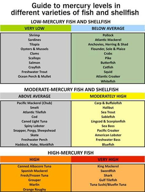 Mercury in Fish Ocean Perch, Low Mercury Fish, Pescetarian Diet, Pescatarian Lifestyle, Pescatarian Diet, Food Advice, Sustainable Seafood, Heart Healthy Diet, Online Doctor