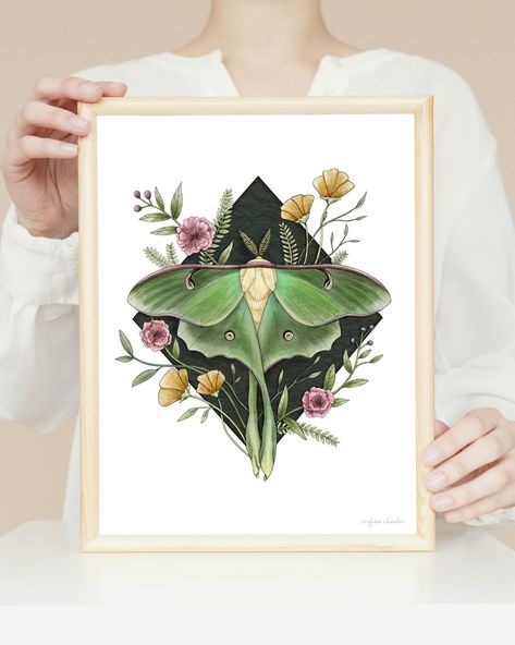 Luna Moths, Insect Illustration, Moth Print, Rare Species, Luna Moth, 11x14 Print, Mushroom Art, Mystical Creatures, Giclee Art