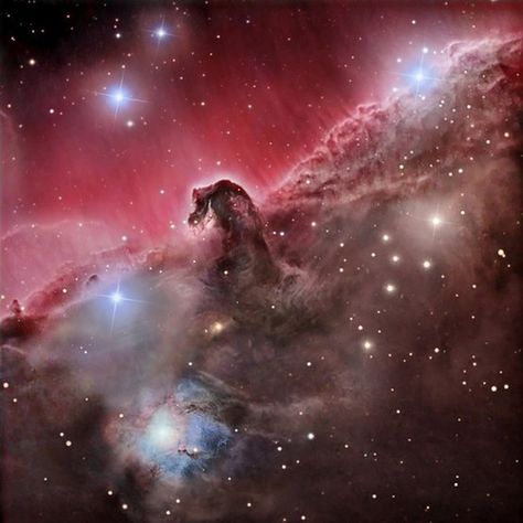 Orion horse head nubelua | Flickr - Photo Sharing! Meaningful Images, Horsehead Nebula, Hubble Images, Bill Nye, Nebulas, Dark Clouds, Hubble Space, Space Pictures, Our Universe