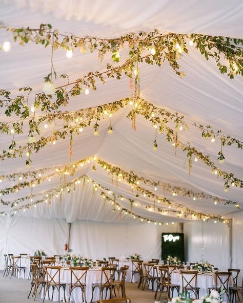 Vine Wedding Decorations, Hanging Flowers And Lights Wedding, Wedding Ivy Decoration, Ceiling Flowers Wedding, Wedding Vines, Wedding Hanging Flowers, Vines With Lights, Eclipse Wedding, Wedding Fairy Lights