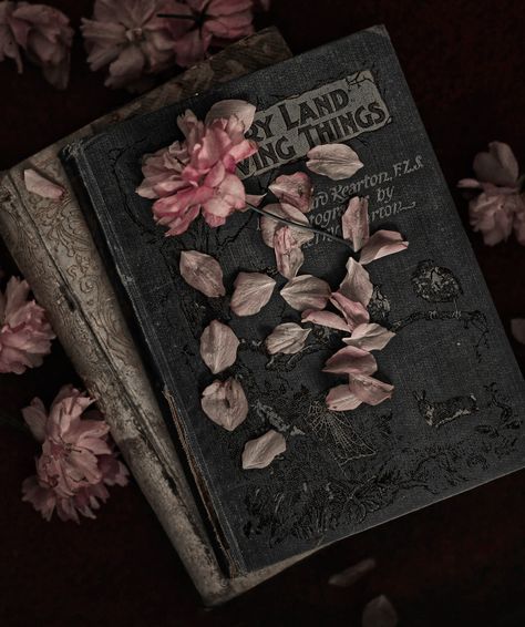 Tumblr Dark Academia, Fairy Academia Aesthetic, Aesthetic Book Photography, Dark Academia Flowers, Smell Of Old Books, Book Photoshoot, Literature Aesthetic, Darkest Academia, Ideal Aesthetic