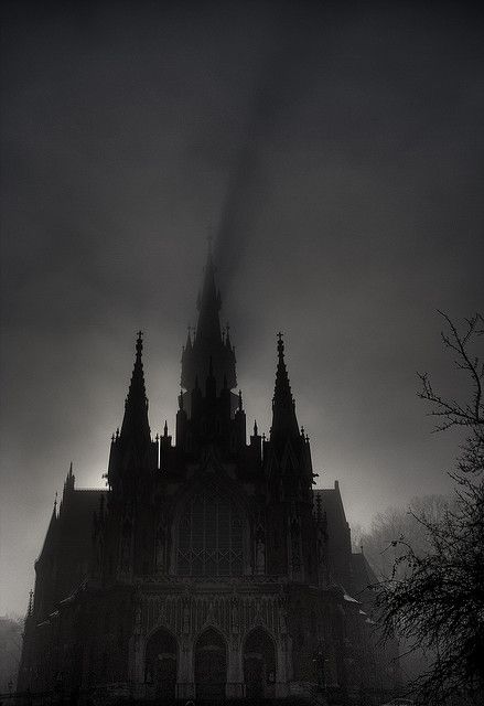 Gothic Castle, Vampire Aesthetic, Slytherin Aesthetic, Gothic Aesthetic, Gothic Architecture, Black Aesthetic, Dark Aesthetic, Dark Academia, In The Dark