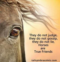 Well said. God, My mule, horses and dogs are my best friends Cute Horse Quotes, Horse Poems, Horses Quotes, Rodeo Quotes, Equine Quotes, Horse Quote, Cowgirl Quote, Horse Sayings, Inspirational Horse Quotes