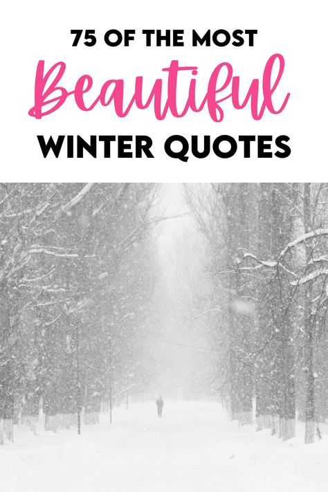 The best Winter quotes Winter Words Quotes, Inspirational Winter Quotes, Snow Quotes Aesthetic, Winter Positive Quotes, Winter Sayings Quotes, Wintering Quotes, Winter Wonderland Quotes, Winter Sayings For Signs, Winter Quotes Inspirational