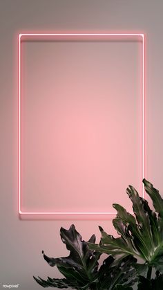 Pastel Pink Wallpaper Iphone, Geometric Wallpaper Iphone, Pastel Pink Wallpaper, Lock Screen Wallpaper Iphone, Palm Wallpaper, Rose Gold Wallpaper, Neon Red, Phone Screen Wallpaper, Pretty Phone Wallpaper