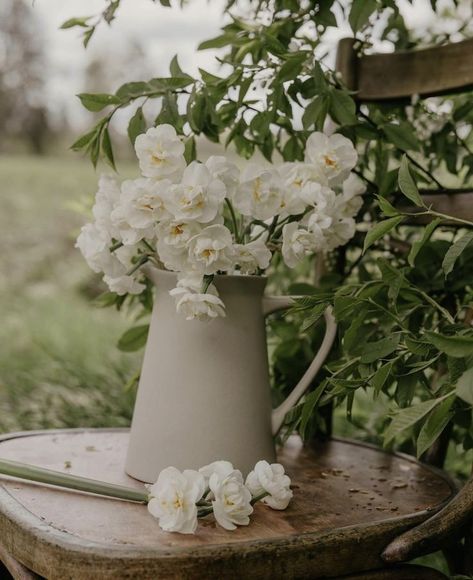 Summer Flowering Bulbs, Floral Chair, French Flowers, Flower Cart, Tulip Bulbs, Moon Garden, Plant Spacing, Spring Aesthetic, Bridal Crown