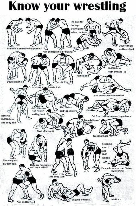 Wrestling Conditioning, Catch Wrestling Techniques, Wrestling Moves Chart, Vintage Wrestling Posters, Wrestling Rules, Wrestling Moves, Wrestling, Comics, Sports