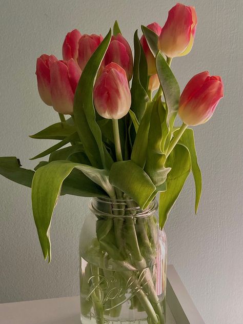 Azalea Flower, Tulips Arrangement, Tulips In Vase, Art Story, Art Style Inspiration, Paint Party, Flower Pictures, Flower Vase, Art Reference Photos