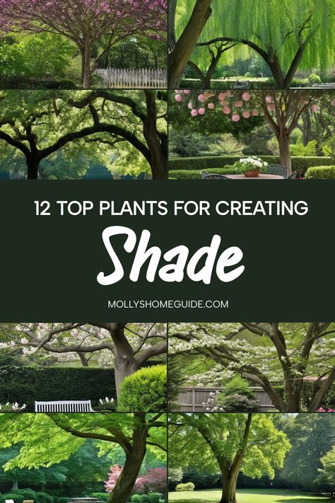 Discover the best plants to create shade and transform your garden into a cool oasis. From tropical plants for shaded areas to vining plants that provide natural cover, learn how to design a lush shaded garden. Explore ideas for shady spaces with shade-loving perennials and companion plants for hostas. Whether you're looking to create shade in the garden or design a tranquil woodland escape, these tips will help you cultivate thriving greenery even in low-light conditions. Plants For Shaded Areas, Best Plants For Shade, Shaded Garden, Flowers That Attract Butterflies, Vining Plants, Shade Loving Perennials, Redbud Tree, Honey Locust, Companion Plants