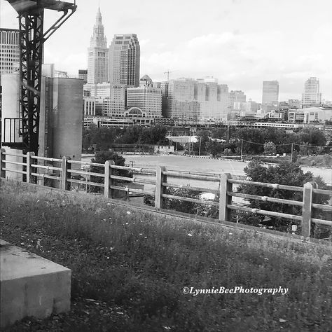 From the Red Line Rapid coming into downtown Cleveland, Ohio. #cleveland #216 #redlinerapid #redline #clevelandohio #photography #blackandwhitephotography #perfectshot #lynniebeephotography Downtown Cleveland Ohio, Downtown Cleveland, Red Line, Cleveland Ohio, Black And White Photography, Cleveland, Ohio, Photography, Red