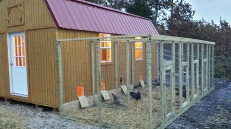 Chicken breeding pens Breeding Coops For Chickens, Chicken Coop Breeding Pens, Breeding Pens For Chickens, Duck Breeding Pens, Chicken Breeding Pens Ideas, Chicken Breeder Pens, Silkie Breeding Pens, Chicken Breeding Pens, Poultry Breeding Pens