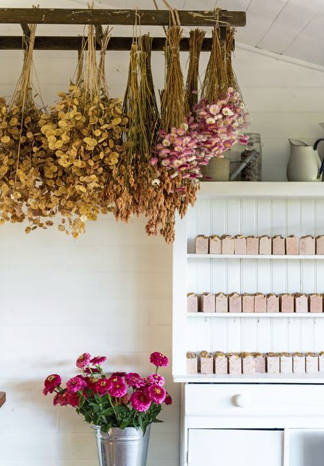 Bunches of flowers hang while they dry out at this shop, which is attached to a flower farm. Hanging Dried Flowers Decor, Hanging Dried Flowers, Bunches Of Flowers, Outdoor Awnings, Festival Decor, Kangaroo Paw, Market Garden, Real Christmas Tree, Coastal Gardens